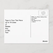 Aangepaste Eagle- en vlaggenpatriottische Briefkaa Briefkaart (Achterkant)