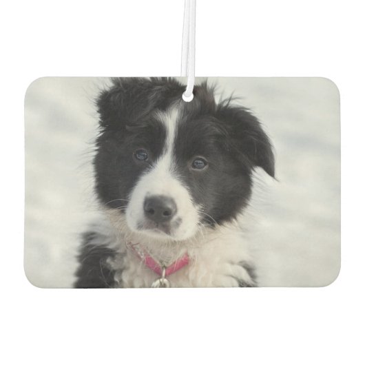 Aangepaste Easy 2 Foto DIY Eenvoudige Sjabloon Aut Luchtverfrisser (Achterkant)