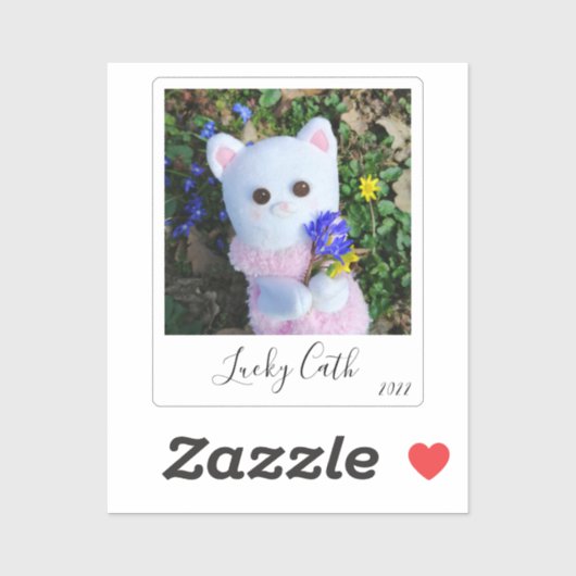 Aangepaste, eenvoudige , directe foto van elegant sticker (Vel)