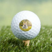 Aangepaste Eenvoudige Foto Golfballen (Insitu Shirt)