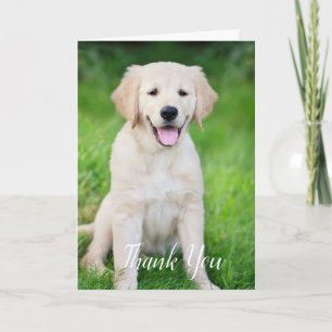Aangepaste Eenvoudige Hond Huisdier Foto Dierenart Bedankkaart