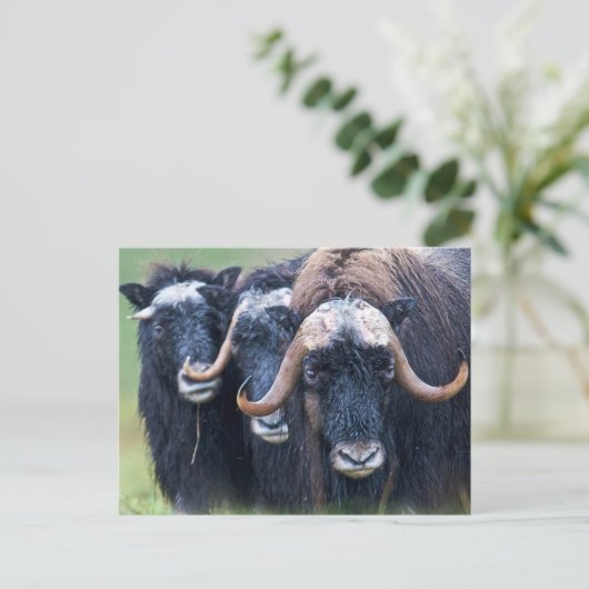 Aangepaste eigen foto en tekst briefkaart (Staand voorkant)