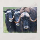 Aangepaste eigen foto en tekst briefkaart (Voorkant)