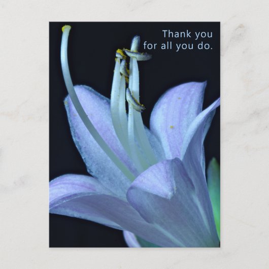 Aangepaste Elegante Lavendel Bloem Bedankt Postkaa Briefkaart (Voorkant)