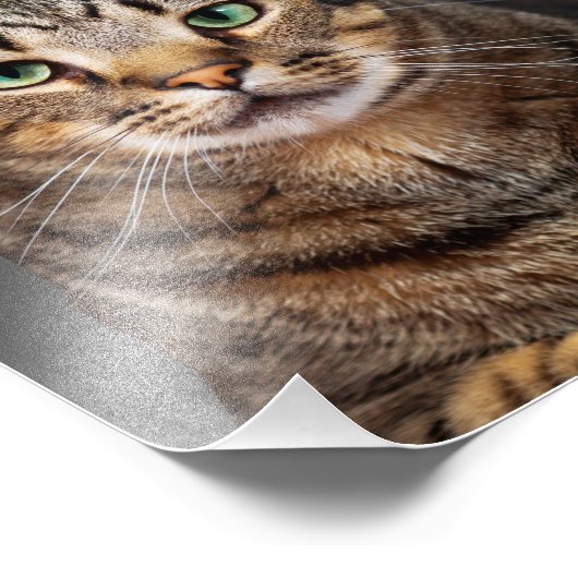 Aangepaste en gepersonaliseerde Pet Cat Foto Afdruk (Hoek)