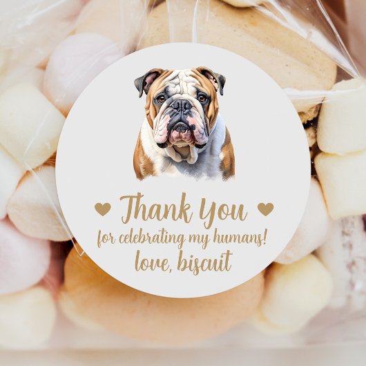 Aangepaste Engelse Bulldog Wedding Favoriet Sticke Ronde Sticker