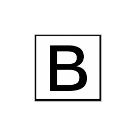 Aangepaste enkele letter rubberstempel