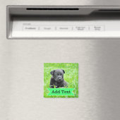 Aangepaste familie huisdier foto en naam Afbeeldin Magneet (Insitu (Vaatwasser))