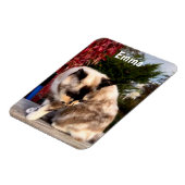 Aangepaste Familie Huisdier, Kat Foto Koelkast Magneet (Linkerzijde)