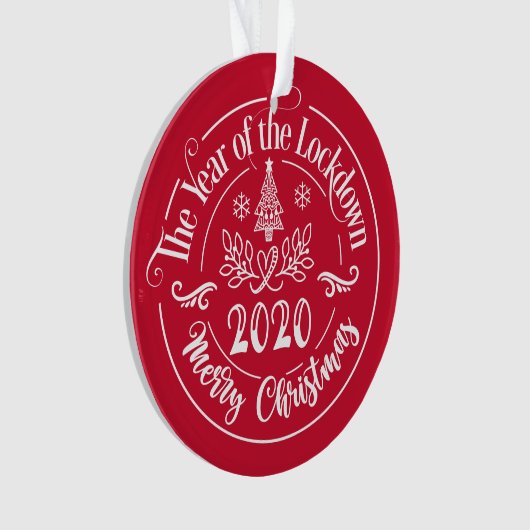 Aangepaste familienaam Funny 2020 kerstfeestdag Ornament (voorkant)