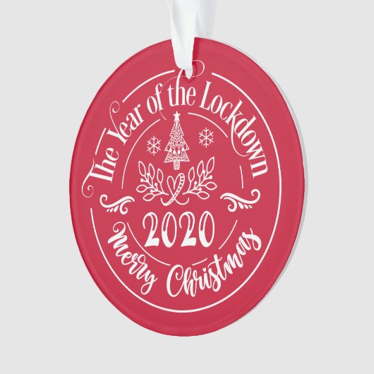 Aangepaste familienaam Funny 2020 kerstfeestdag Ornament (voorkant)