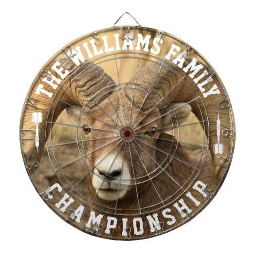 Aangepaste familienaam gepersonaliseerde grote sch dartbord (Voorkant)