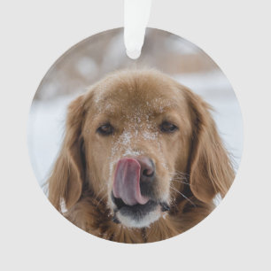 Aangepaste feestdag Ornament Gezinshuis Puppy