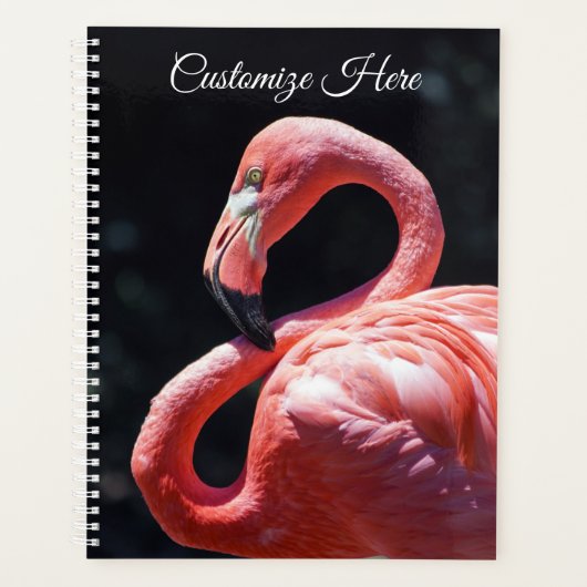 Aangepaste Flamingo Weekly/Maandelijkse Planner (Voorkant)