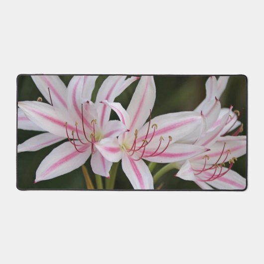 Aangepaste Floral Desk Mat (Voorkant)