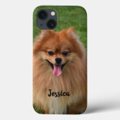 Aangepaste fluffy Brown Pommeren Dog Case-Mate iPhone Case (Achterkant)