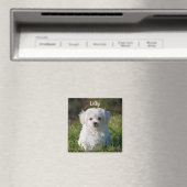 Aangepaste fluffy White Maltese puppy Dog Magneet (Insitu (Vaatwasser))