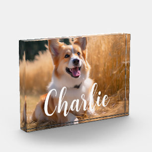 Aangepaste foto