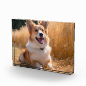 Aangepaste foto (Rechts)