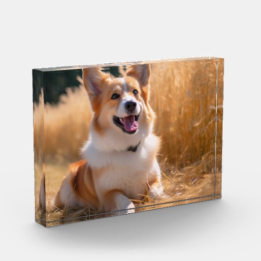 Aangepaste foto (Links)