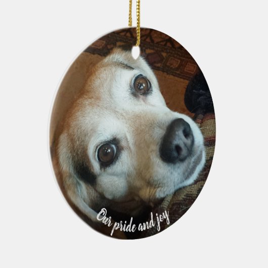 Aangepaste foto 2 zijkant Pride en Joy Keramisch Ornament (Rechts)