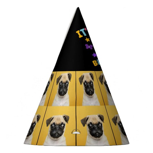 Aangepaste foto 8e verjaardagsfeestje Pet Feesthoedjes (Links)