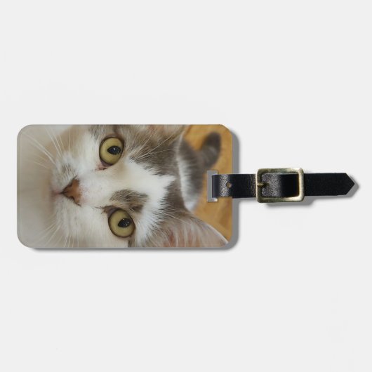 Aangepaste foto aangepast bagagelabel (Voorkant horizontaal)