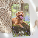 Aangepaste foto Aangepast Hondenliefhebber voor pe Sleutelhanger<br><div class="desc">Custom Pet Photo Personalized Hondenliefhebber Sleutelhanger - een eenvoudige en moderne foto sleutelhanger die ideaal is voor huisdierenbezitters, hondenliefhebbers, kinderen en gezinnen. Deze sleutelhanger is een geweldige manier om speciale momenten met uw dierbaren en huisdieren te herdenken. Onze foto-sleutelhanger is gemaakt van hoogwaardige materialen en heeft een strak design dat...</div>