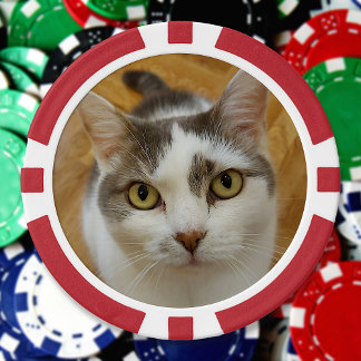 Aangepaste foto aangepast poker chips