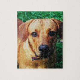 Aangepaste foto Aangepaste hond Jigzaag Puzzle Legpuzzel
