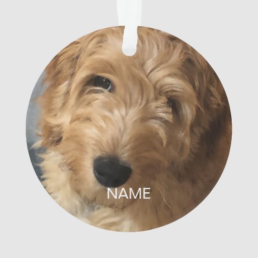 Aangepaste foto afbeelding afbeelding kerstmis ornament (achterkant)