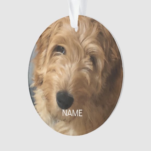 Aangepaste foto afbeelding afbeelding kerstmis ornament (voorkant)