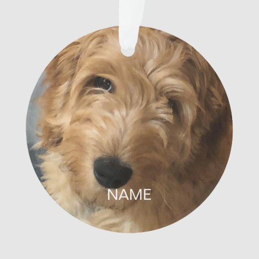 Aangepaste foto afbeelding afbeelding kerstmis ornament (voorkant)