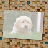 Aangepaste foto | Automatisch uw pc omzetten in li Post-it® Notes