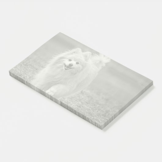 Aangepaste foto, automatische conversie van Pic na Post-it® Notes (Schuin)