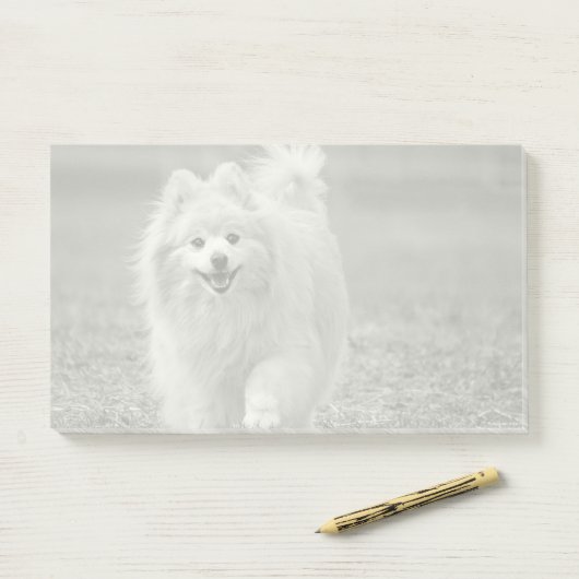 Aangepaste foto, automatische conversie van Pic na Post-it® Notes (Op bureau)