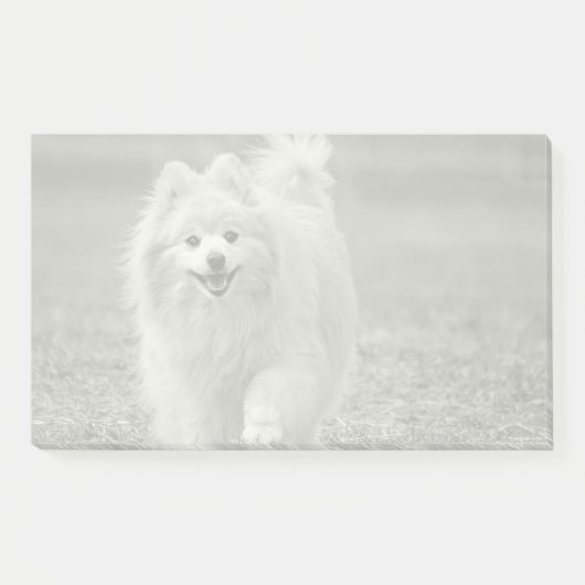 Aangepaste foto, automatische conversie van Pic na Post-it® Notes (Voorkant)