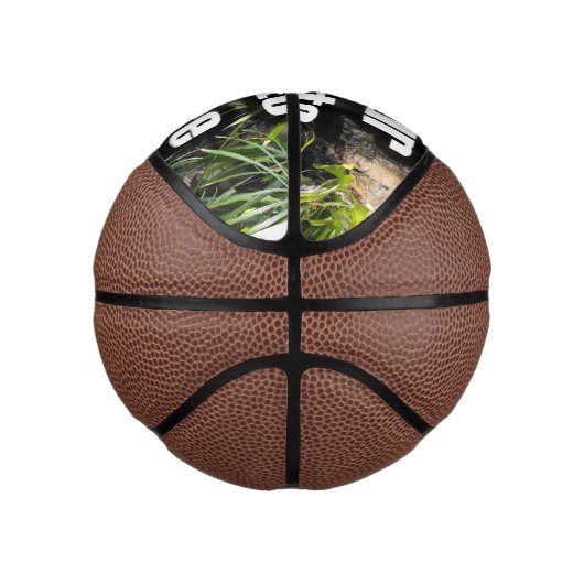 Aangepaste foto Basketball Ball Basketbal (Rechts)