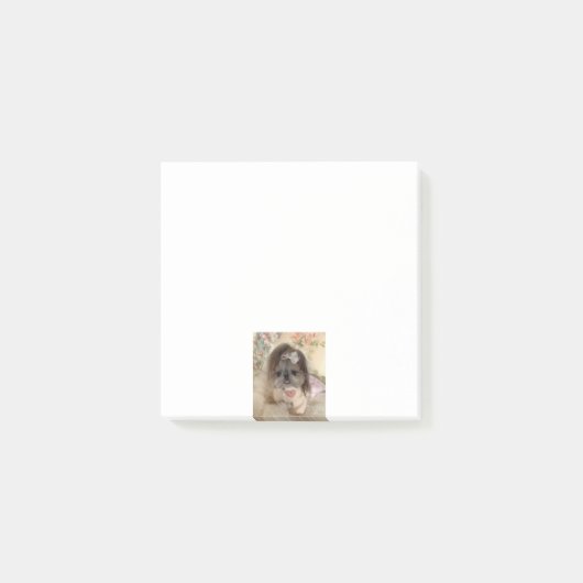 Aangepaste foto bevestigen post-it® notes (Voorkant)