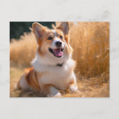 Aangepaste foto briefkaart (Voorkant)