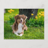 Aangepaste foto briefkaart (Voorkant)