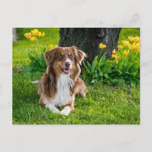 Aangepaste foto briefkaart (Voorkant)