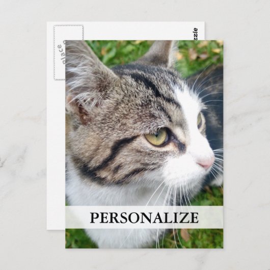 Aangepaste foto-briefkaarten | Voeg hier uw afbeel Briefkaart (Voorkant / Achterkant)