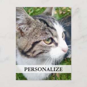 Aangepaste foto-briefkaarten   Voeg hier uw afbeel Briefkaart