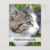 Aangepaste foto-briefkaarten | Voeg hier uw afbeel Briefkaart (Voorkant)