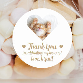 Aangepaste Foto Cat Wedding Favoriet Stickers