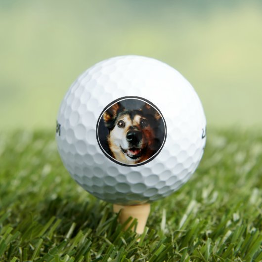 Aangepaste foto Dog Pa Golfballen (Insitu Shirt)