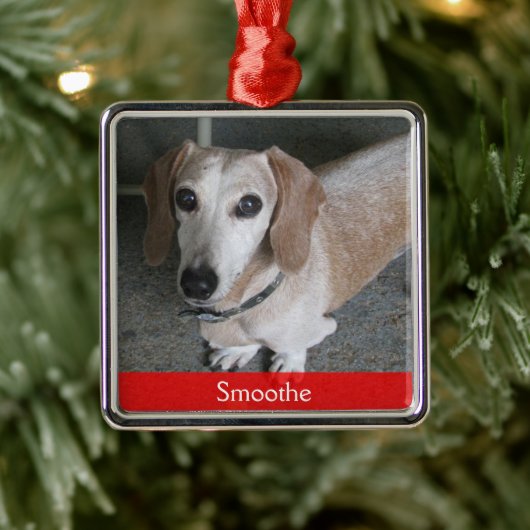 Aangepaste foto-doosversiering metalen ornament (Boom)