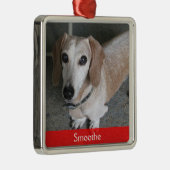 Aangepaste foto-doosversiering metalen ornament (Rechts)