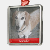 Aangepaste foto-doosversiering metalen ornament (Links)